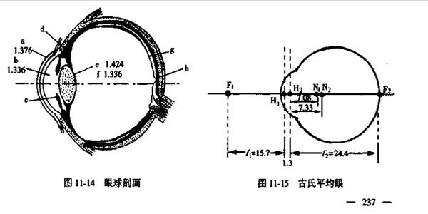 小程序商城开发商排名，装之前先看这几处